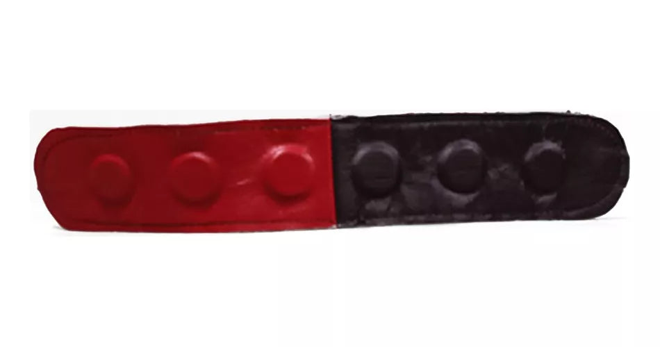 Diadema Magnética Bipolar En Piel Para Biomagnetismo